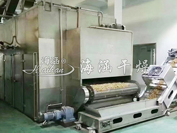 Fruit special drying equipment