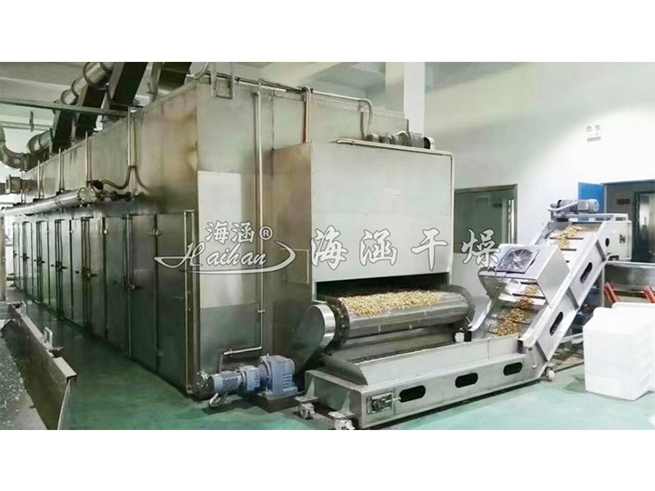 Special Mesh Belt Dryer for Garlic, Chilli, Red Date