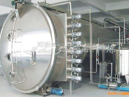 Vacuum Belt Dryer